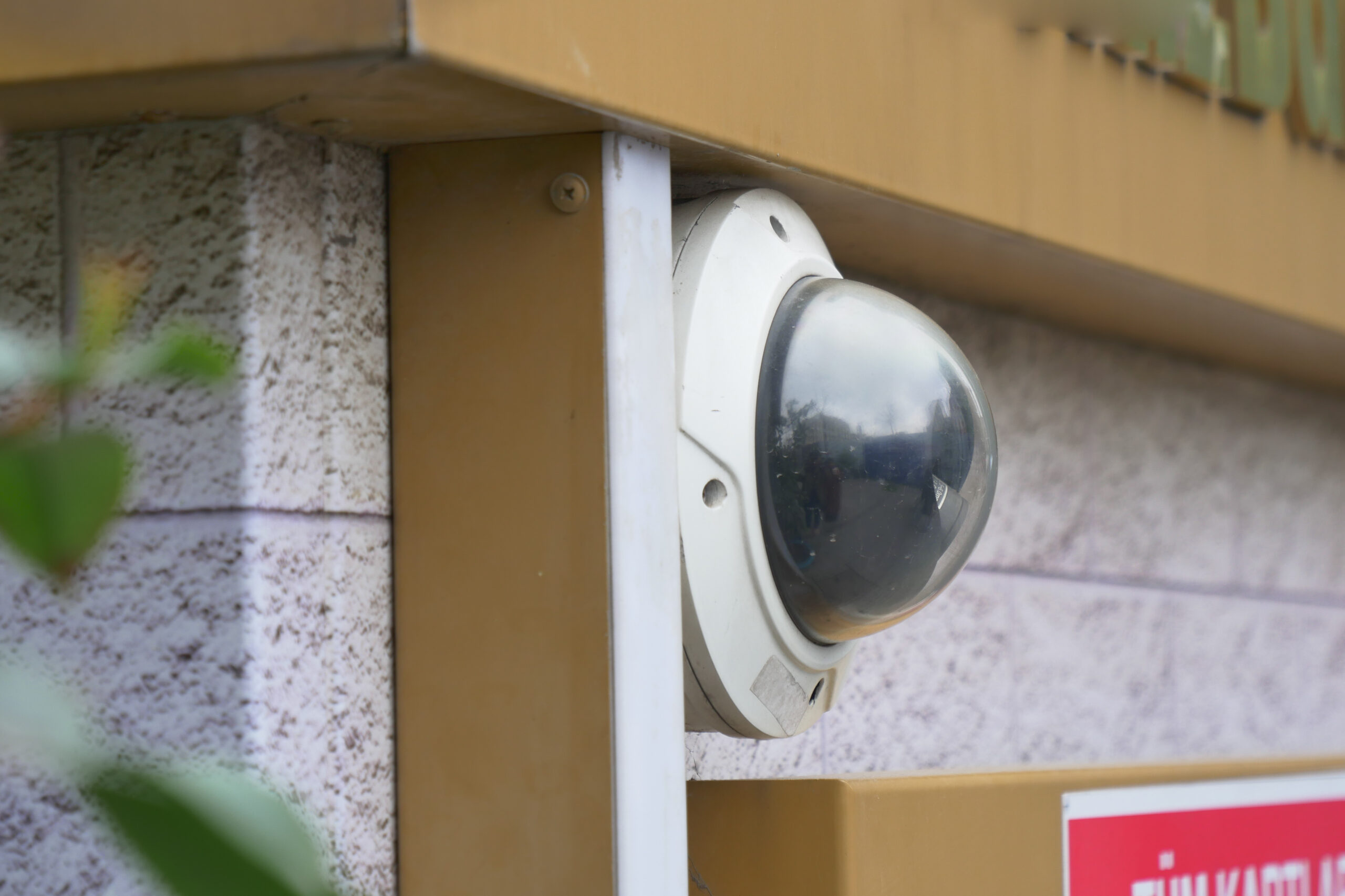 close up of a white and black dome security camera on a stone wall with green leaves in the foreground